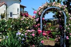 house n arch